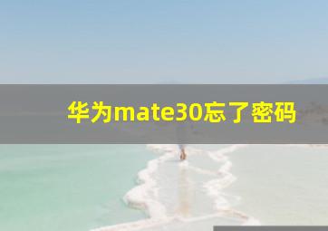 华为mate30忘了密码