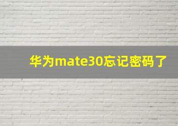 华为mate30忘记密码了