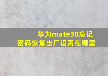 华为mate30忘记密码恢复出厂设置在哪里