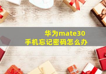 华为mate30手机忘记密码怎么办