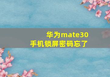 华为mate30手机锁屏密码忘了