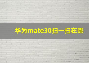 华为mate30扫一扫在哪