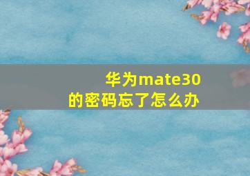 华为mate30的密码忘了怎么办