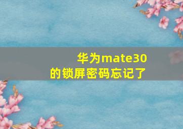 华为mate30的锁屏密码忘记了