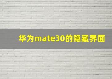 华为mate30的隐藏界面