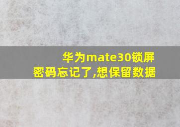 华为mate30锁屏密码忘记了,想保留数据