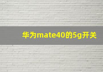 华为mate40的5g开关