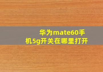 华为mate60手机5g开关在哪里打开