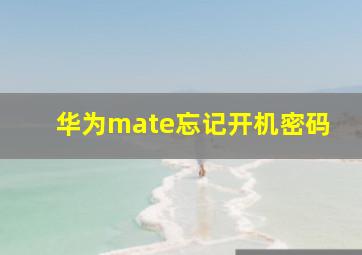 华为mate忘记开机密码