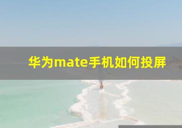 华为mate手机如何投屏