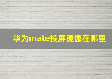 华为mate投屏镜像在哪里