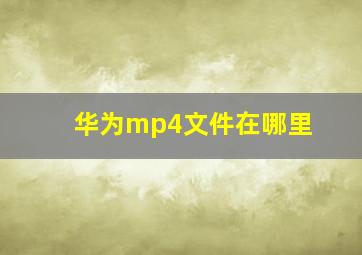 华为mp4文件在哪里