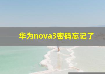 华为nova3密码忘记了