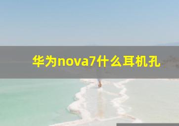 华为nova7什么耳机孔