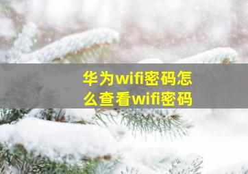 华为wifi密码怎么查看wifi密码