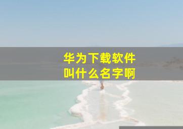 华为下载软件叫什么名字啊