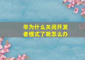 华为什么关闭开发者模式了呢怎么办