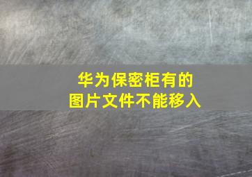 华为保密柜有的图片文件不能移入