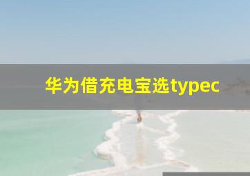 华为借充电宝选typec