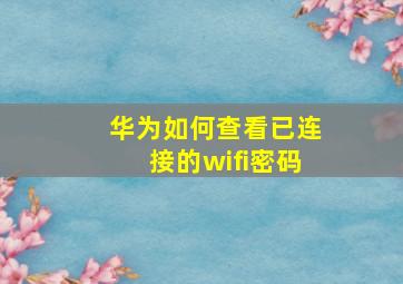 华为如何查看已连接的wifi密码