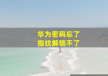 华为密码忘了指纹解锁不了