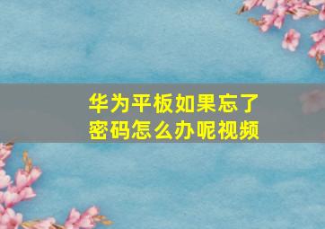 华为平板如果忘了密码怎么办呢视频