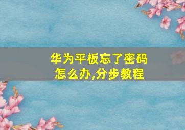 华为平板忘了密码怎么办,分步教程