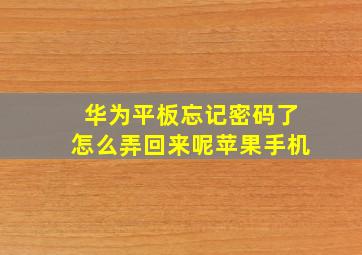 华为平板忘记密码了怎么弄回来呢苹果手机