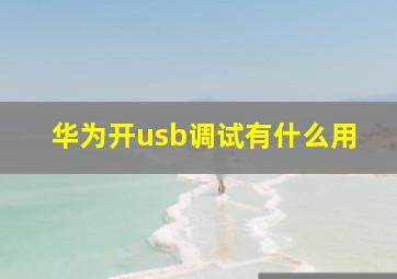 华为开usb调试有什么用