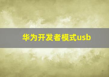 华为开发者模式usb