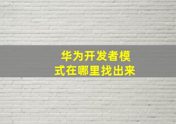 华为开发者模式在哪里找出来