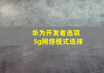 华为开发者选项5g网络模式选择