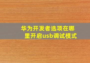 华为开发者选项在哪里开启usb调试模式