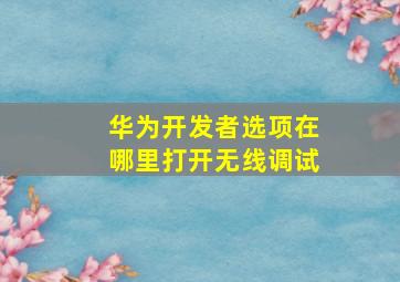 华为开发者选项在哪里打开无线调试