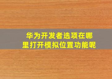 华为开发者选项在哪里打开模拟位置功能呢