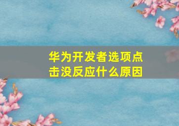 华为开发者选项点击没反应什么原因