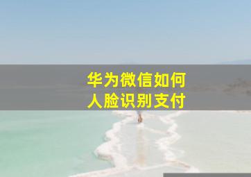 华为微信如何人脸识别支付