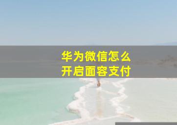 华为微信怎么开启面容支付