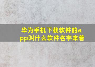 华为手机下载软件的app叫什么软件名字来着