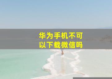 华为手机不可以下载微信吗