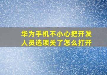 华为手机不小心把开发人员选项关了怎么打开