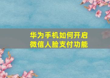 华为手机如何开启微信人脸支付功能