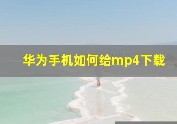 华为手机如何给mp4下载