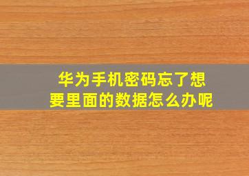 华为手机密码忘了想要里面的数据怎么办呢