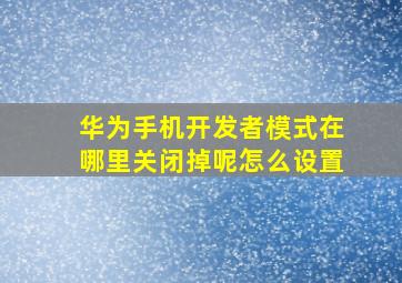 华为手机开发者模式在哪里关闭掉呢怎么设置