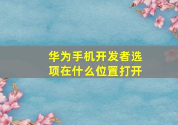 华为手机开发者选项在什么位置打开