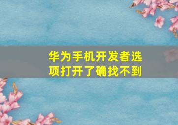 华为手机开发者选项打开了确找不到