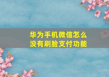 华为手机微信怎么没有刷脸支付功能