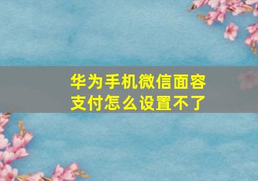 华为手机微信面容支付怎么设置不了