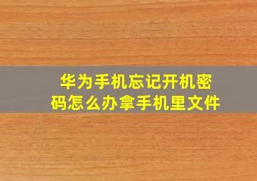 华为手机忘记开机密码怎么办拿手机里文件